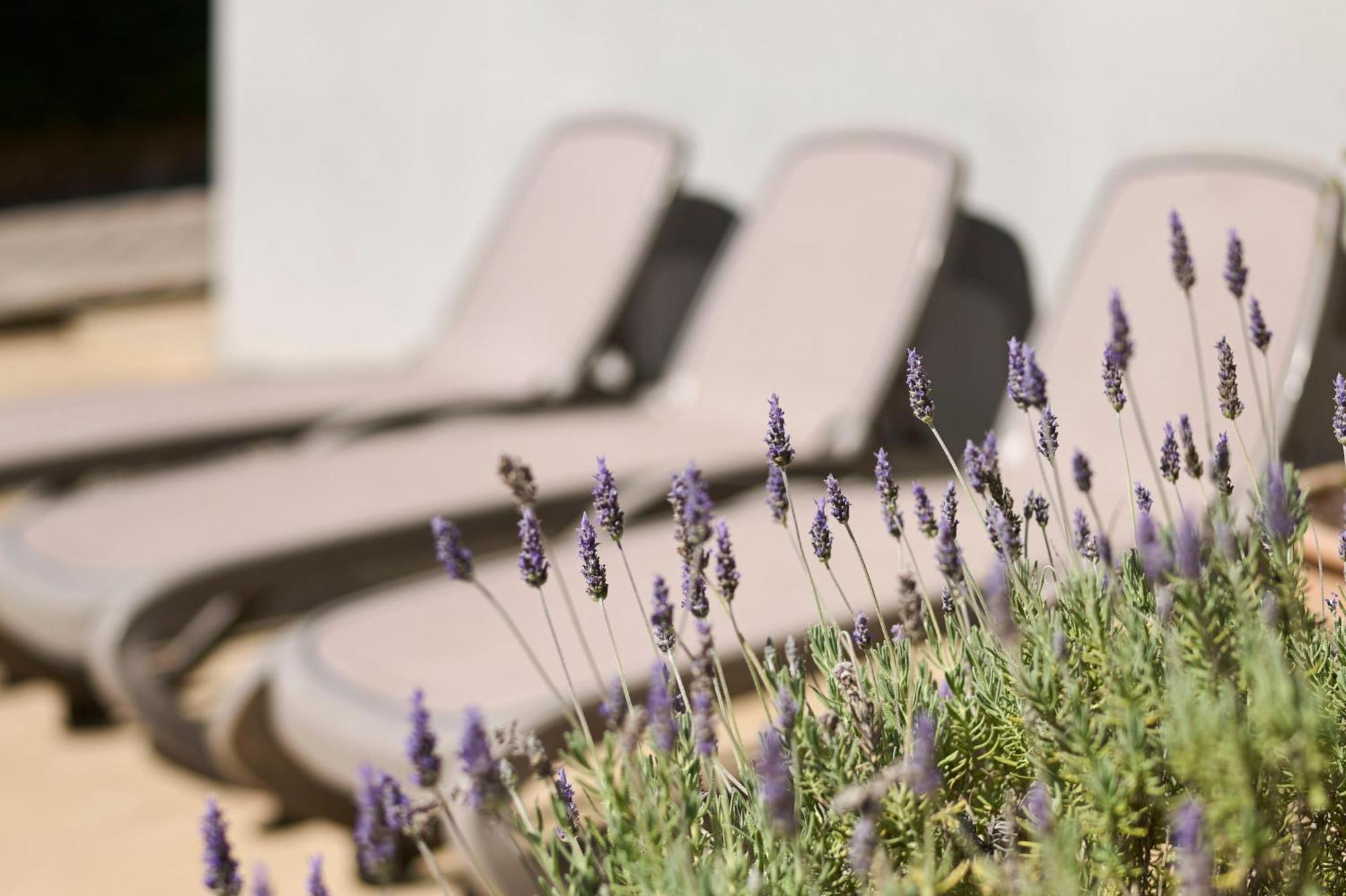 Apartment Martello Forest View Πόρετς Εξωτερικό φωτογραφία